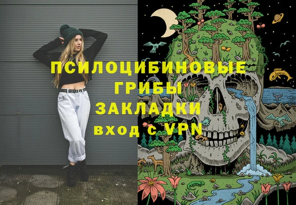 дмт Арсеньев