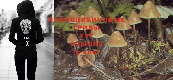 эйфоретик Аркадак