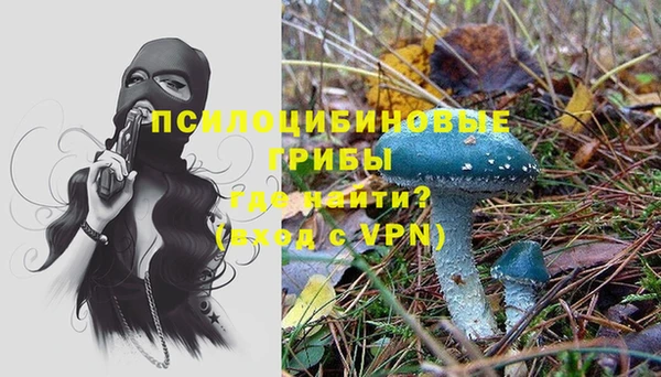 эйфоретик Аркадак