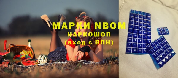эйфоретик Аркадак