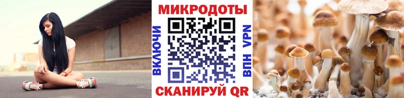 Псилоцибиновые грибы Psilocybe  закладка  Липки 